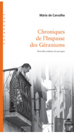 Chroniques de l  501293374cd65